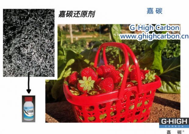 嘉碳還原劑守護“莓”好，甜蜜上線