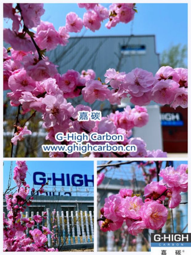 環(huán)保嘉碳，春花爛漫