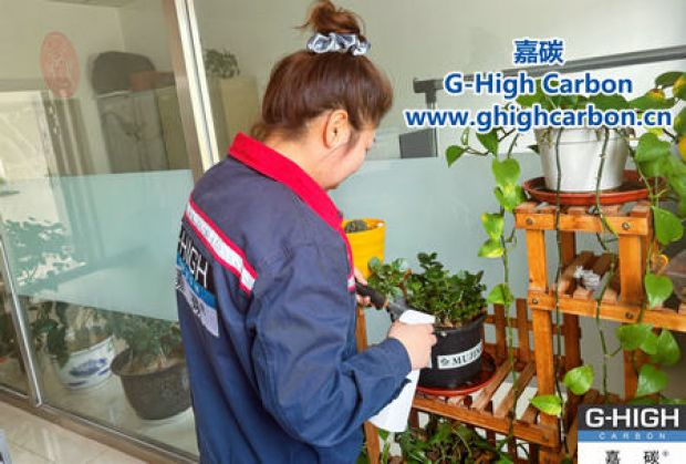 午休時(shí)光種花忙，美化辦公環(huán)境添綠意